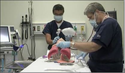 GUI screen-shot: Screen still of a video demonstration of the didactic illustrations which preceded it in the instructional imagery.